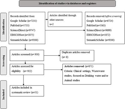 Prevalence of extended-spectrum β-lactamase producing Enterobacterales in Africa's water-plant-food interface: A meta-analysis (2010–2022)